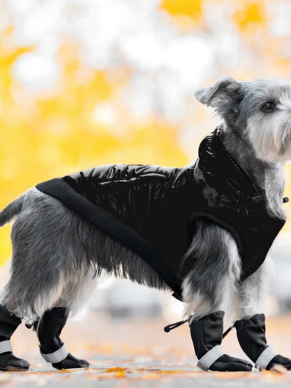 CANADA POOCH • Soft Shield Boots